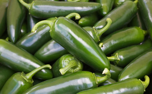 Světle zelené papričky jalapeňo — Stock fotografie