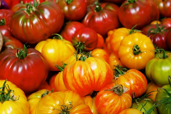 Stapel van erfgoed tomaten — Stockfoto