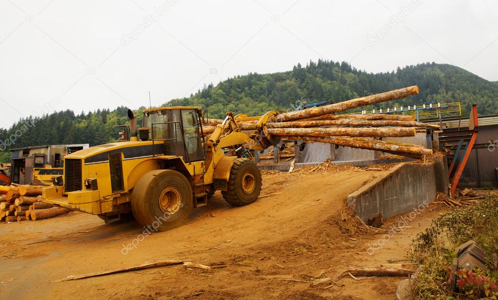 Logging Forklift Loading
