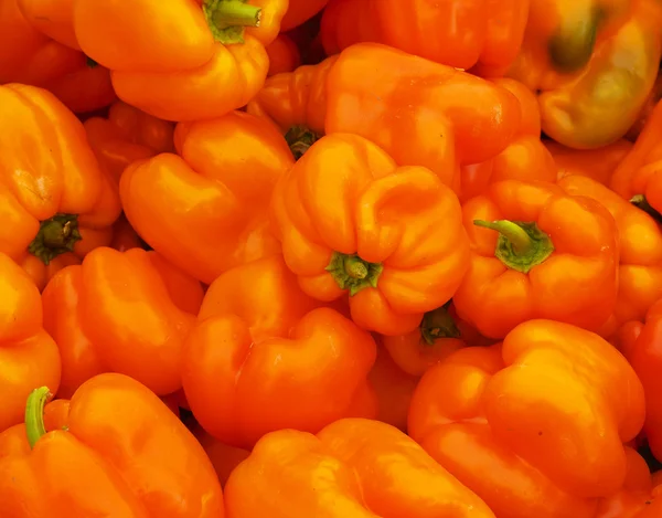Orange Bell Peppers — Stock Photo, Image