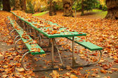dlouhé podzimní piknikový stůl