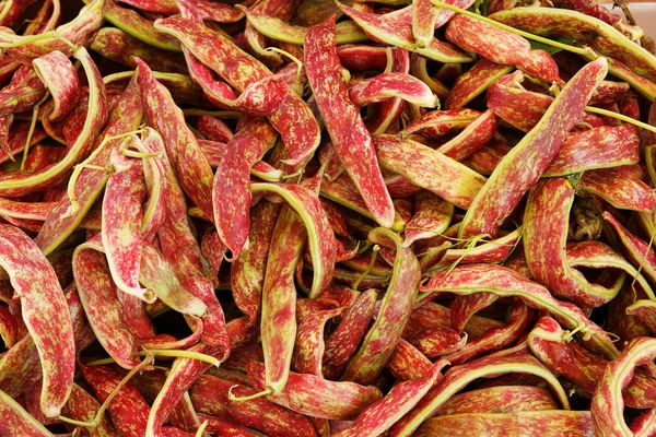 Cranberry Beans — Stock Photo, Image