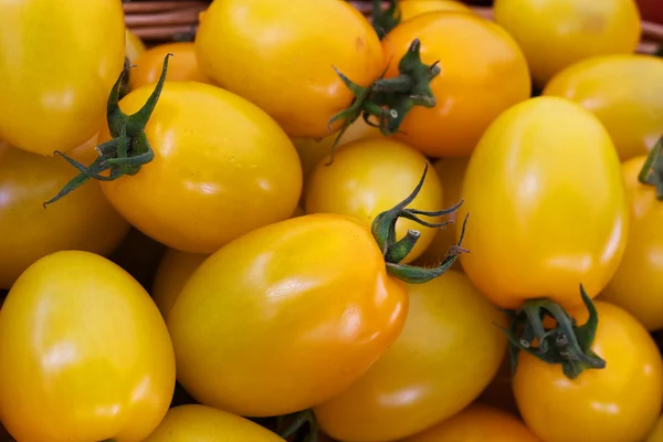 Tomates de ameixa amarela — Fotografia de Stock