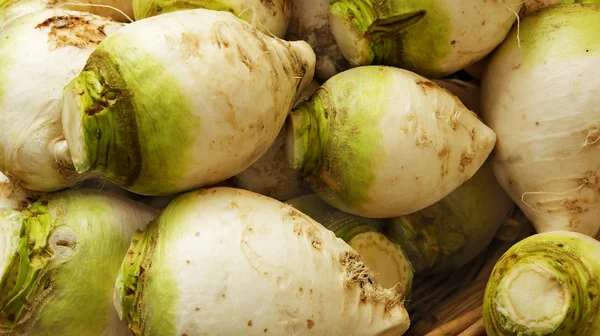 Green and white turnips — Stock Photo, Image