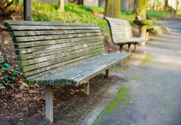 Park bench perspektif — Stok fotoğraf