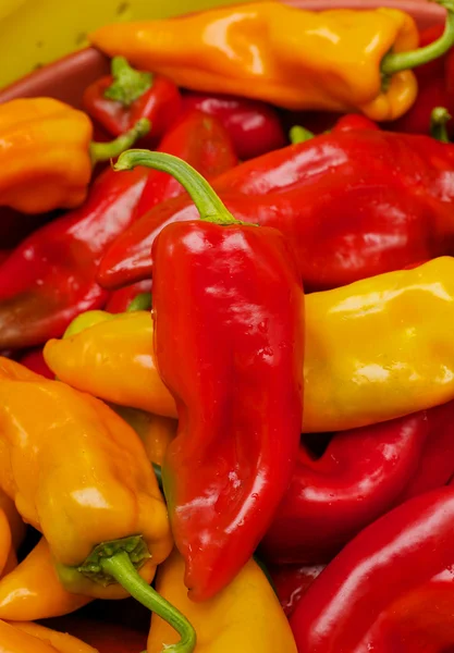 Red yellow orange chili peppers — Stock Photo, Image