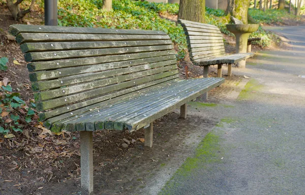 Park bench bakış açısı daha derin dof — Stok fotoğraf