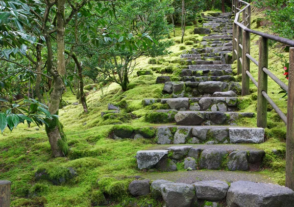 Asian Garden Stone staircase — Stock Photo, Image