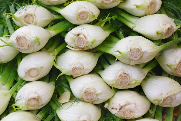 Pile of Fennel — Stock Photo, Image