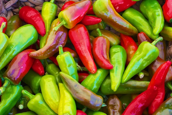 Red green yellow purple hot Peppers — Stock Photo, Image