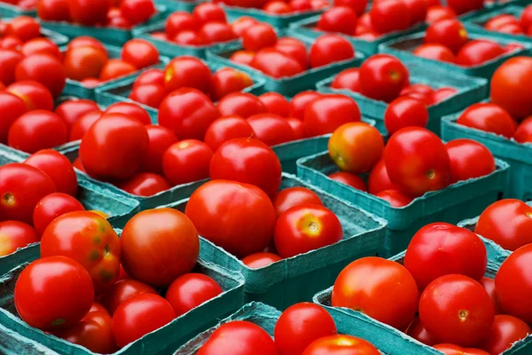 Boxes of tomatoes — Stock Photo, Image