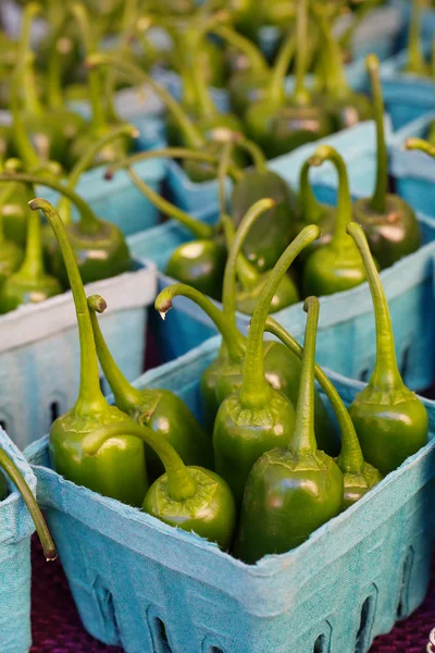 Jalapenos — Stockfoto