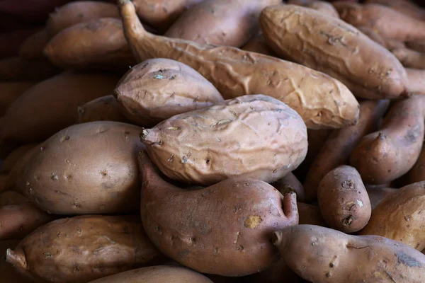 Pile of Yams or Sweet Potatoes — Stock Photo, Image