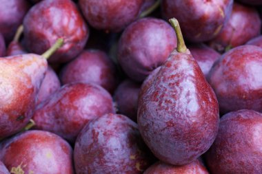 Koyu kızıl anjou armut