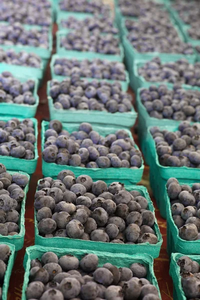 Boxes of Blueberries — Stock Photo, Image