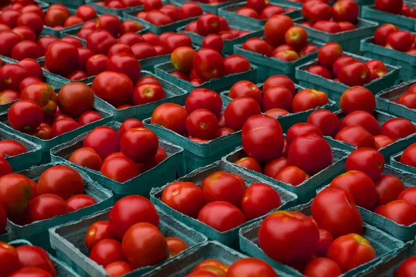 Boîtes de tomates Images De Stock Libres De Droits