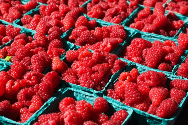 Bright Red Raspberries — Stock Photo, Image