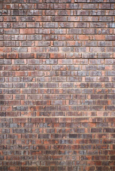 Vertical Brick wall — Stock Photo, Image
