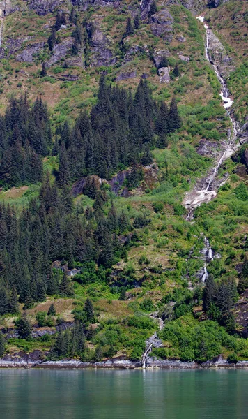 Turnagain Arm Wasserfall lizenzfreie Stockbilder