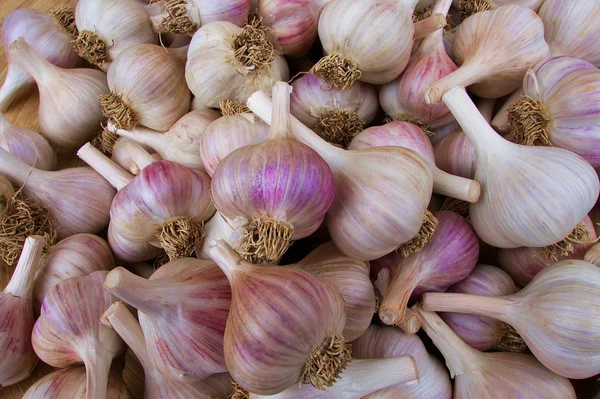 Haufen Knoblauch Stockfoto