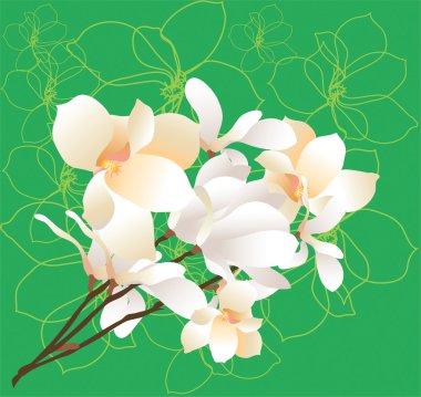 vector of white lilies