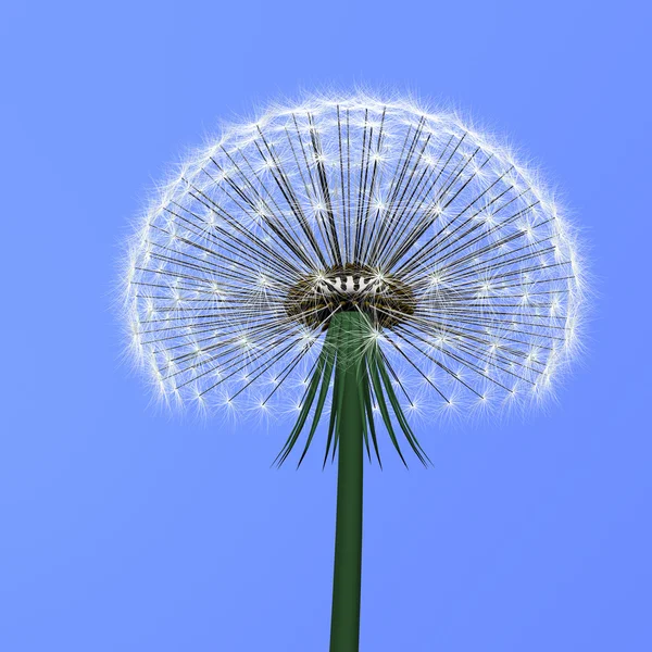 Diente de león sobre azul — Foto de Stock