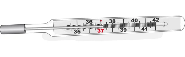 Glas thermometer met schaduw — Stockvector