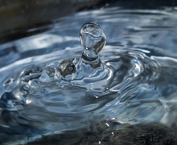 Gota de água da chuva — Fotografia de Stock