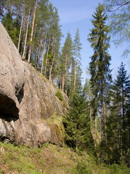 Drzewa, niebo i rock — Zdjęcie stockowe