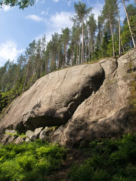 Дерева, небо і камінь — стокове фото