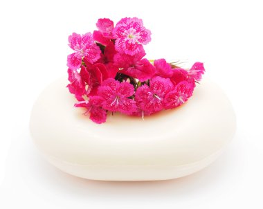 karanfil ve beyaz zemin üzerine sabun