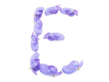 harfler bilinen çiçek beyaz bir arka planda beyaz arka