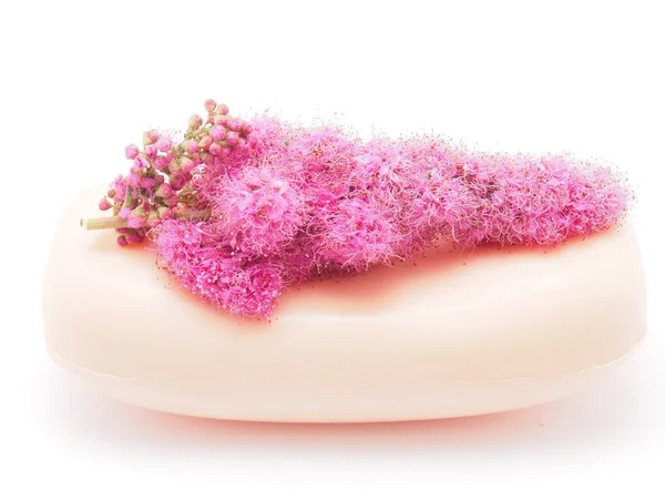 Spiraea and soap on a white background — Stock Photo, Image