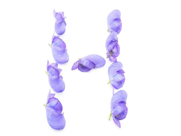 Litery aconite kwiaty na białym tle na tył biały — Zdjęcie stockowe