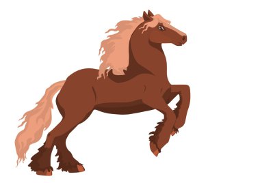 beyaz zemin üzerinde at