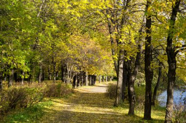 Sonbaharda park et.
