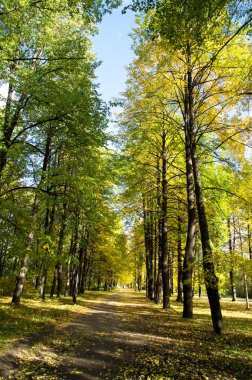 Sonbaharda park et.