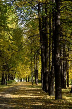 Sonbaharda park et.
