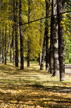 Sonbaharda park et.