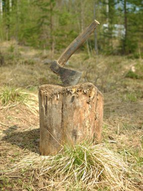 balta güdük içinde fotoğraf