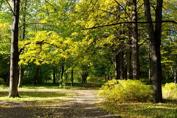 Parque en el otoño — Foto de Stock