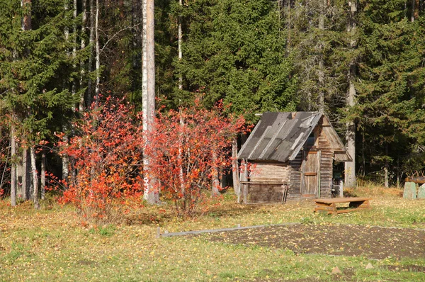 Hus i byn under hösten — Stockfoto