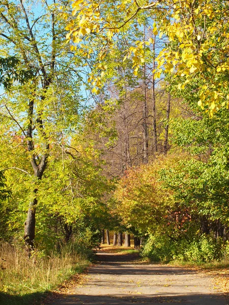 Parque en el otoño — Foto de Stock