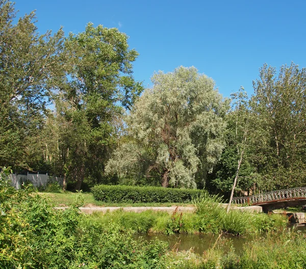 Park im Sommer — Stockfoto