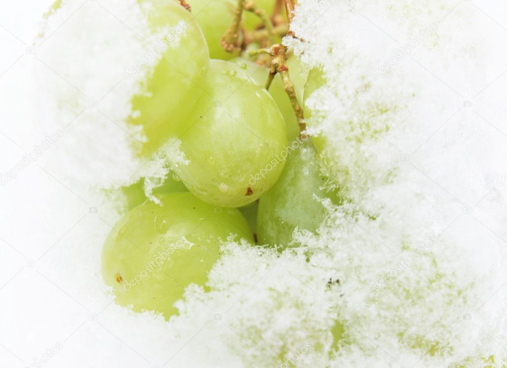 Grapes on snow