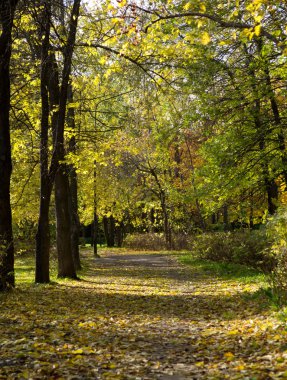 Sonbaharda park et.