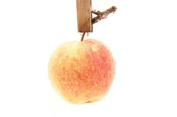 Apple, прищепка и веревка на белом фоне — стоковое фото