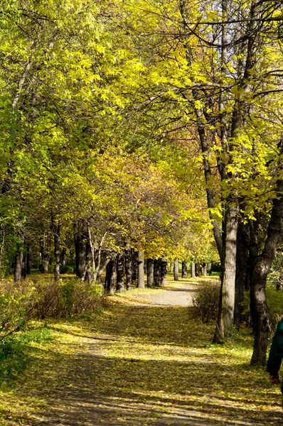 Sonbaharda park et.