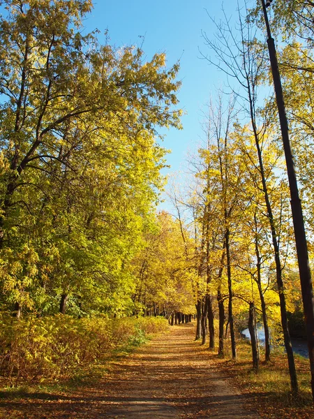 Park jesienią — Zdjęcie stockowe