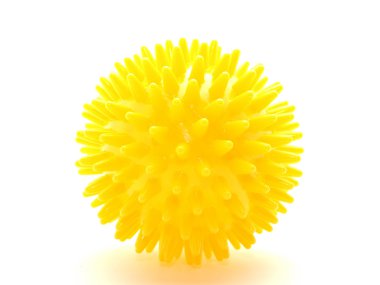 dikenler içinde sarı top